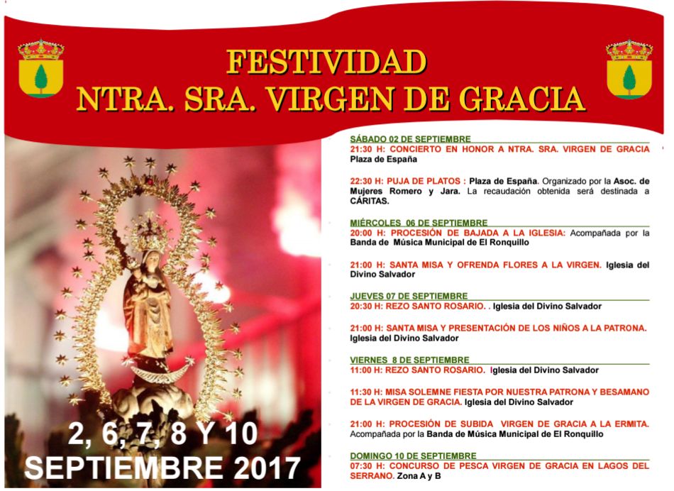 programa virgen 2017
